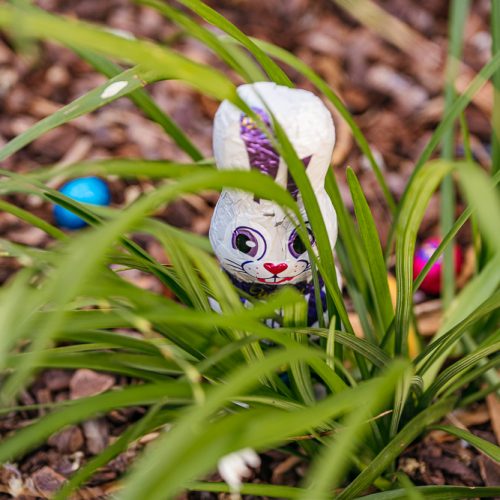 BRT_EASTER_2026_WEBSITE-6542