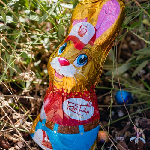 BRT_EASTER_2026_WEBSITE-6545