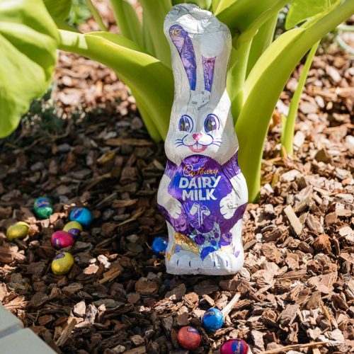 BRT_EASTER_2026_WEBSITE-6554