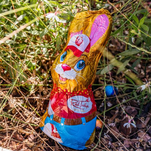 BRT_EASTER_2026_WEBSITE-6557