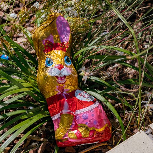 BRT_EASTER_2026_WEBSITE-6563